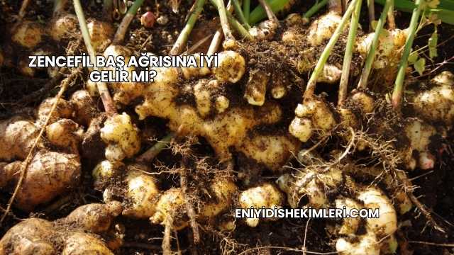 Zencefil Baş Ağrısına İyi Gelir mi?