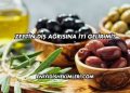 Zeytin Diş Ağrısına İyi Gelir mi?