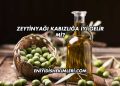 Zeytinyağı Kabızlığa İyi Gelir mi?