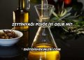 Zeytinyağı Pişiğe İyi Gelir mi?