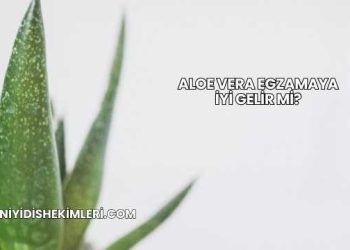 Aloe Vera Egzamaya İyi Gelir mi?