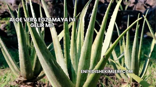 Aloe Vera Egzamaya İyi Gelir mi?