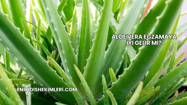 Aloe Vera Egzamaya İyi Gelir mi?