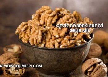 Ceviz Böbreklere İyi Gelir mi?