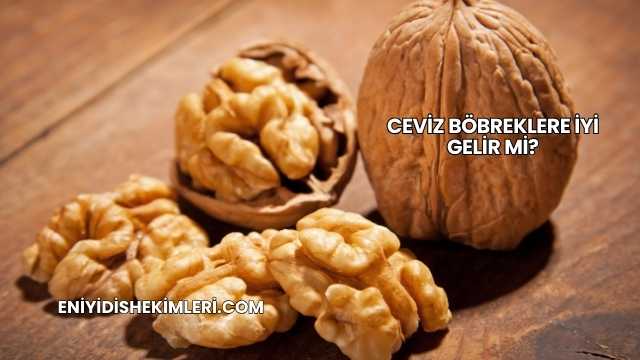 Ceviz Böbreklere İyi Gelir mi?