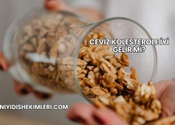 Ceviz Kolesterole İyi Gelir mi?