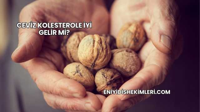 Ceviz Kolesterole İyi Gelir mi?