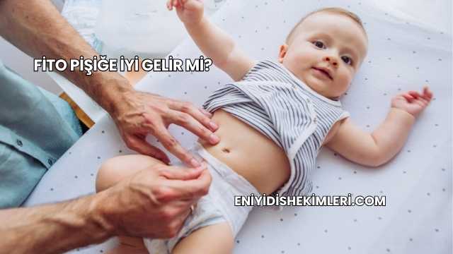 Fito Pişiğe İyi Gelir mi?