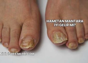 Hametan Mantara İyi Gelir mi?