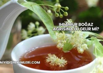 Ihlamur Boğaz Ağrısına İyi Gelir mi?