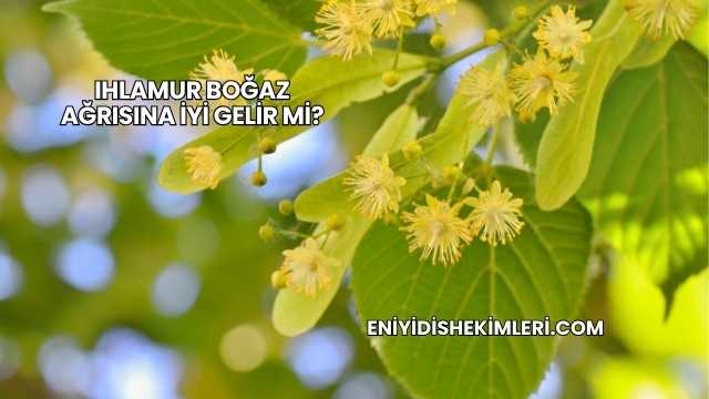 Ihlamur Boğaz Ağrısına İyi Gelir mi?