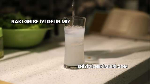 Rakı Gribe İyi Gelir mi?