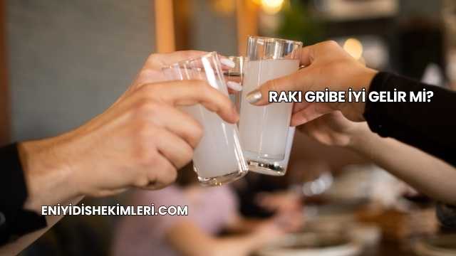 Rakı Gribe İyi Gelir mi?