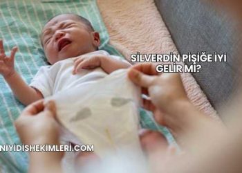 Silverdin Pişiğe İyi Gelir mi?