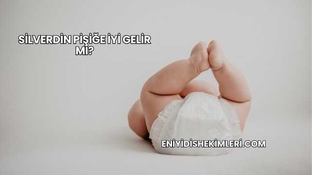 Silverdin Pişiğe İyi Gelir mi?