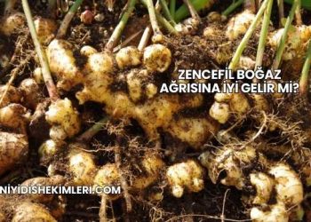 Zencefil Boğaz Ağrısına İyi Gelir mi?