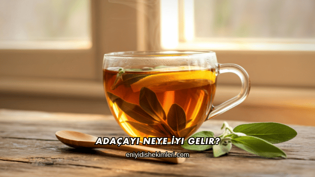 Adaçayı Neye İyi Gelir?