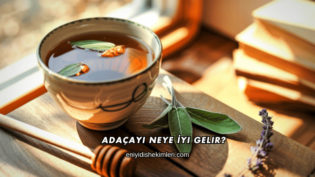 Adaçayı Neye İyi Gelir?