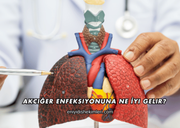 Akciğer Enfeksiyonuna Ne İyi Gelir?
