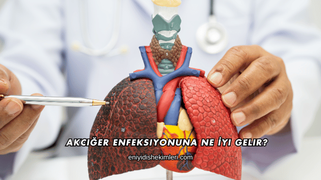 Akciğer Enfeksiyonuna Ne İyi Gelir?