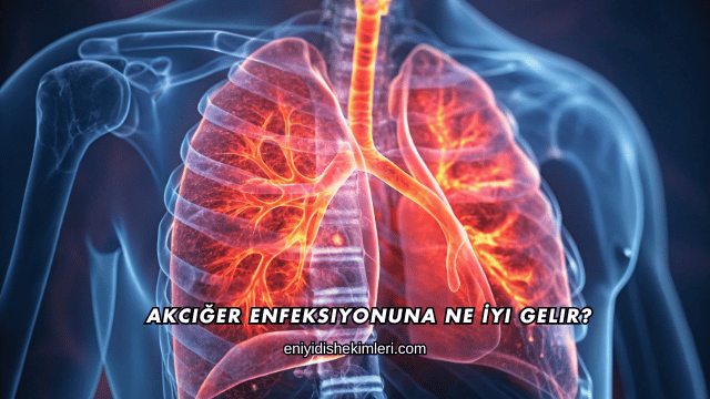 Akciğer Enfeksiyonuna Ne İyi Gelir?