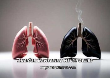 Akciğer Kanserine Ne İyi Gelir?