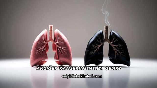 Akciğer Kanserine Ne İyi Gelir?