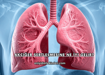 Akciğer Sertleşmesine Ne İyi Gelir?