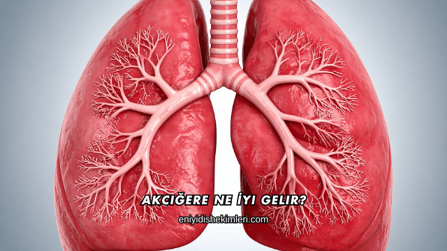 Akciğere Ne İyi Gelir?