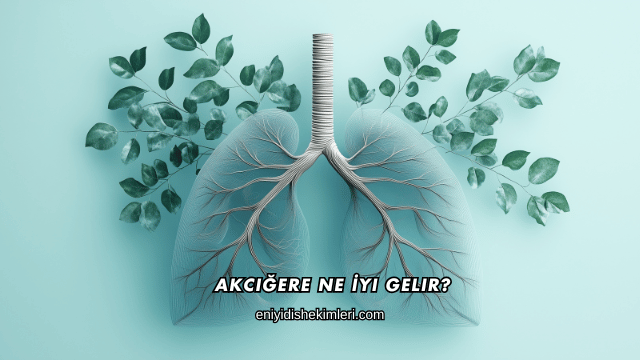 Akciğere Ne İyi Gelir?