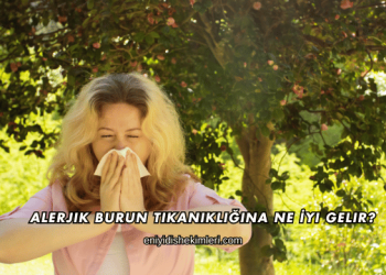 Alerjik Burun Tıkanıklığına Ne İyi Gelir?
