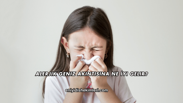Alerjik Geniz Akıntısına Ne İyi Gelir?