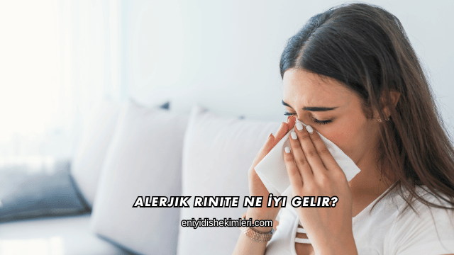 Alerjik Rinite Ne İyi Gelir?