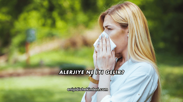 Alerjiye Ne İyi Gelir?