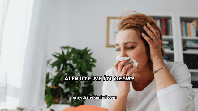Alerjiye Ne İyi Gelir?