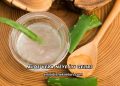 Aloe Vera Neye İyi Gelir?