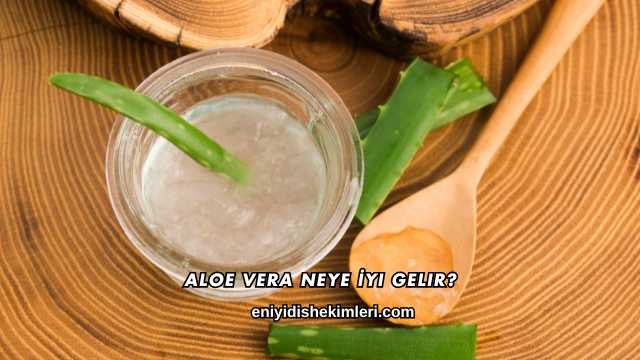 Aloe Vera Neye İyi Gelir?