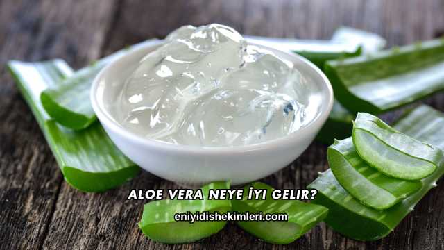 Aloe Vera Neye İyi Gelir?