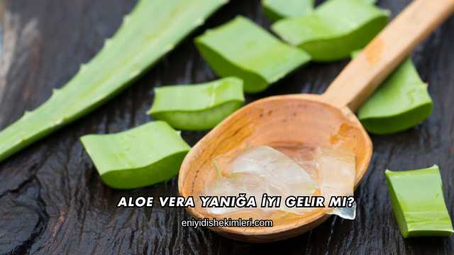 Aloe Vera Yanığa İyi Gelir mi?