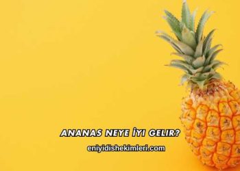 Ananas Neye İyi Gelir?