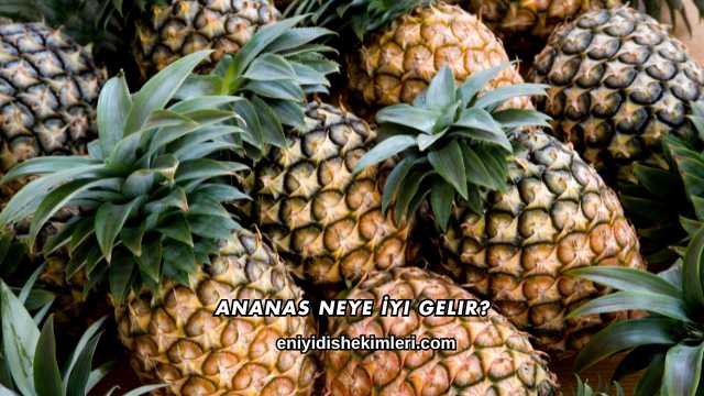 Ananas Neye İyi Gelir?
