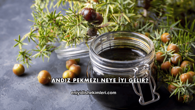Andız Pekmezi Neye İyi Gelir?