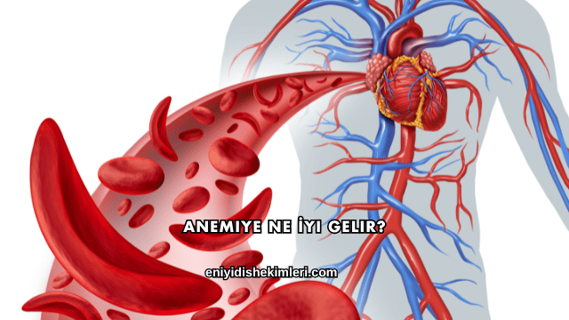 Anemiye Ne İyi Gelir?