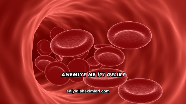 Anemiye Ne İyi Gelir?