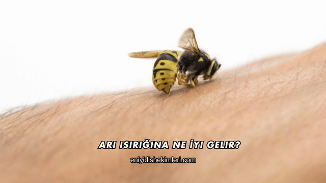 Arı Isırığına Ne İyi Gelir?