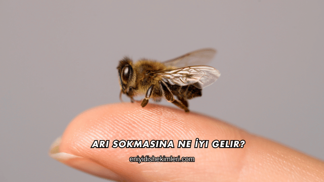 Arı Sokmasına Ne İyi Gelir?