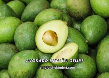 Avokado Neye İyi Gelir?