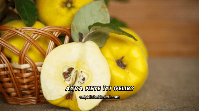 Ayva Neye İyi Gelir?