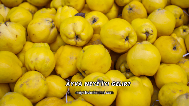 Ayva Neye İyi Gelir?