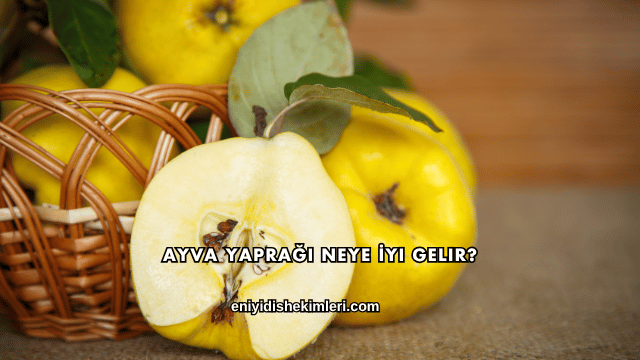 Ayva Yaprağı Neye İyi Gelir?